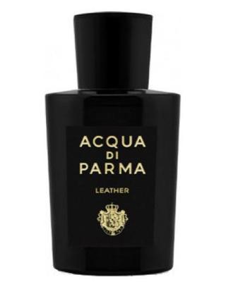 Leather EDP Eau de Parfum by Acqua di Parma Sample & Decants