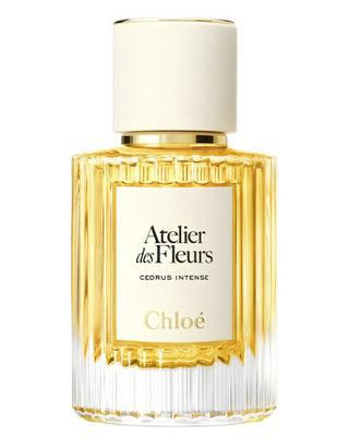 Chloe Cedrus Intense Perfume Sample